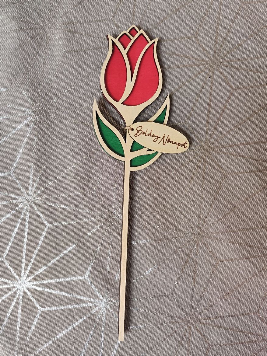 Fa tulipán Nőnapra