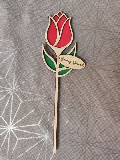 Fa tulipán Nőnapra